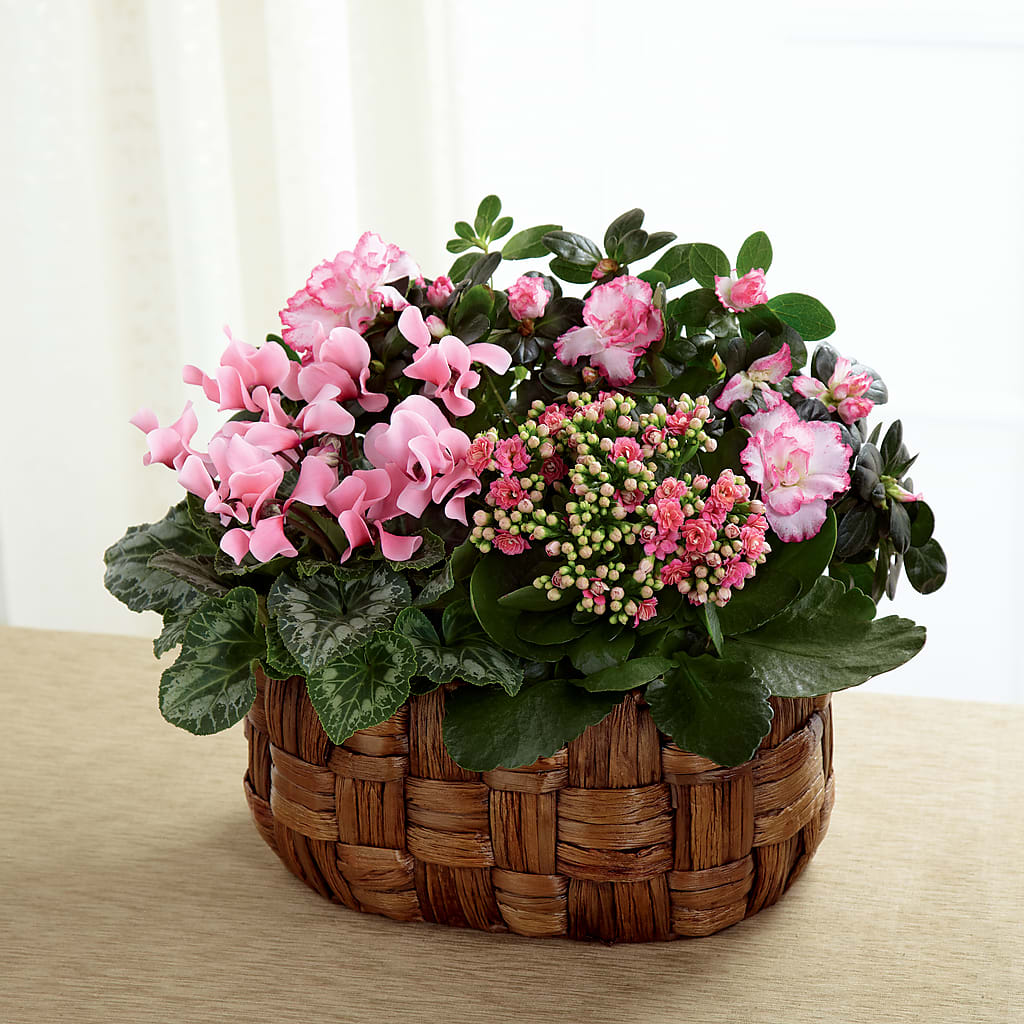 Pink Assortment – Facet Flowers, Austin TX