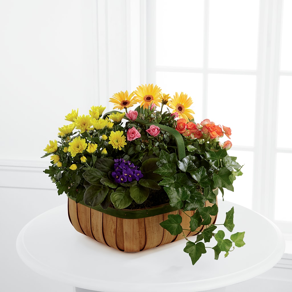 Gentle Blossoms Basket – Facet Flowers, Austin TX