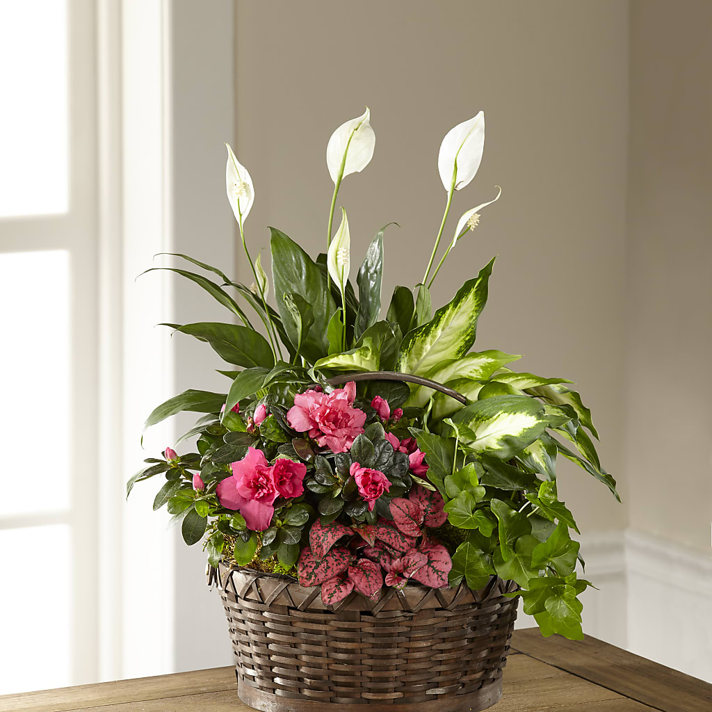 Dream in Pink Dishgarden – Facet Flowers, Austin TX