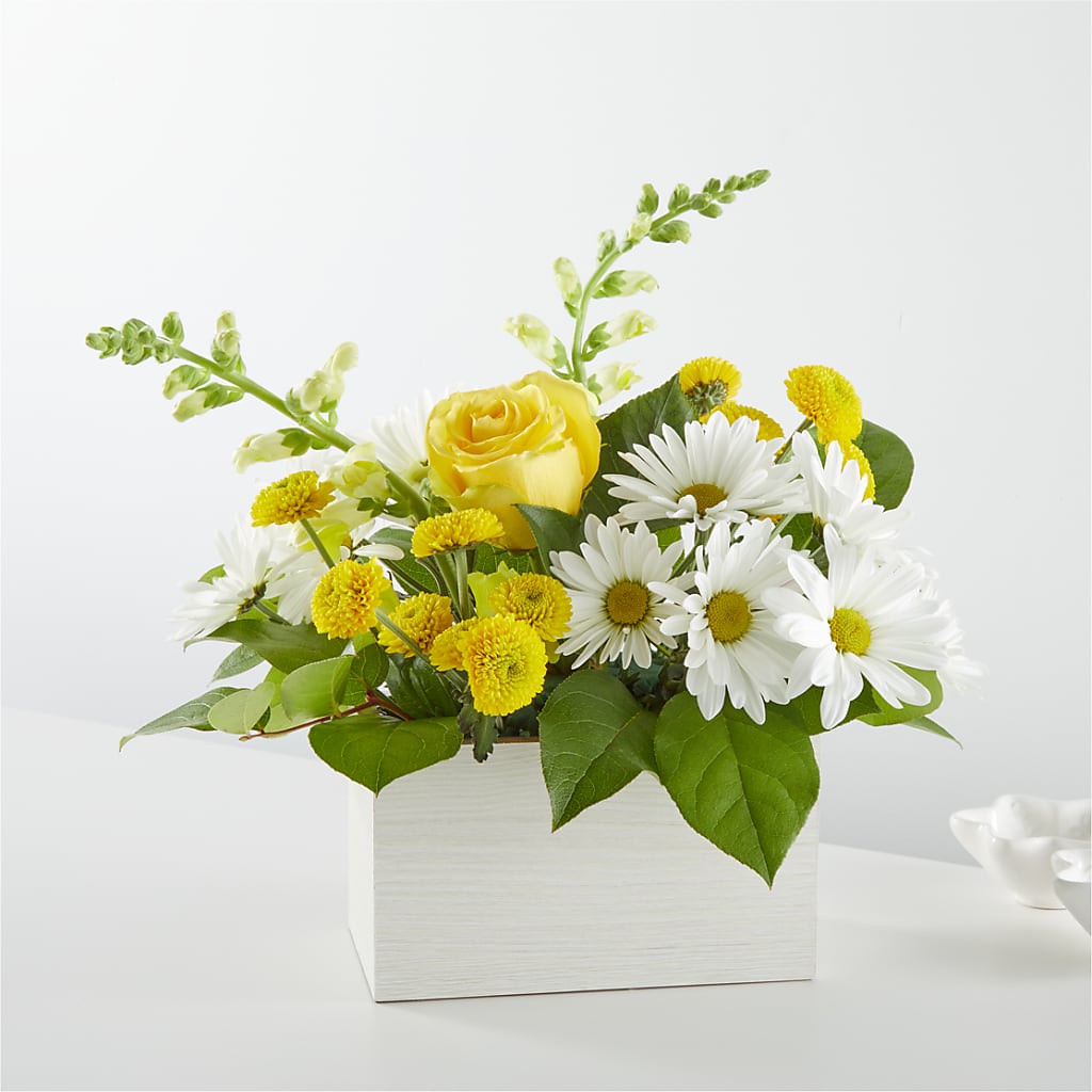 Sun Salutation Box Bouquet – Facet Flowers, Austin TX