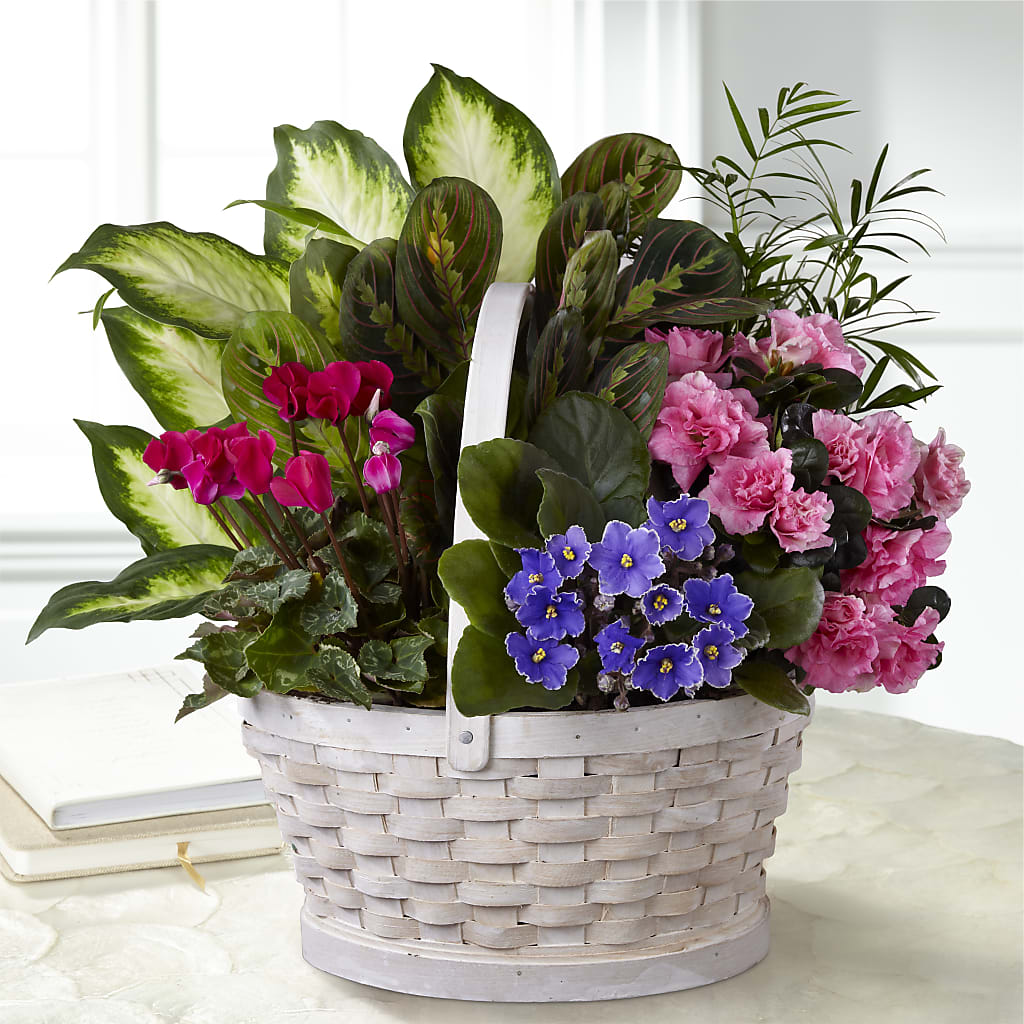 Peaceful Garden Planter – Facet Flowers, Austin TX