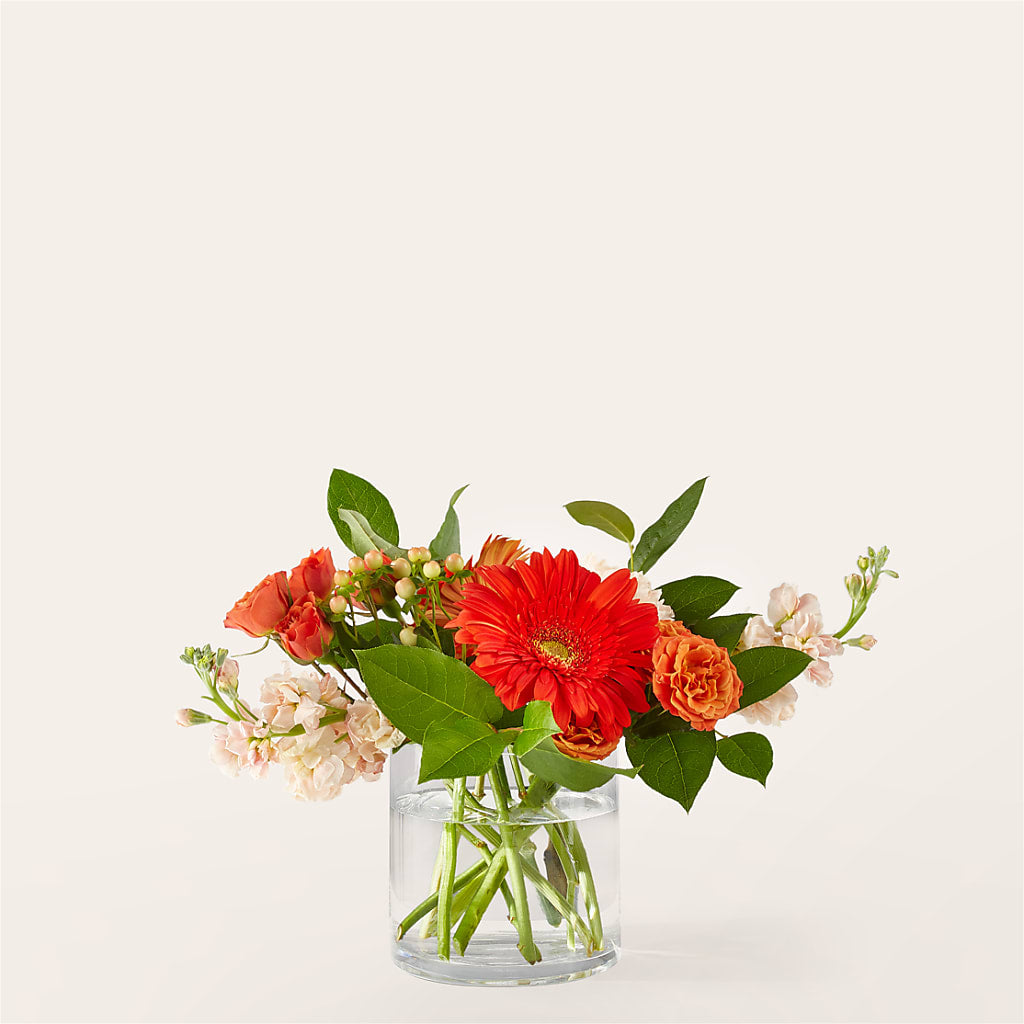 Paloma Please Bouquet – Facet Flowers, Austin TX