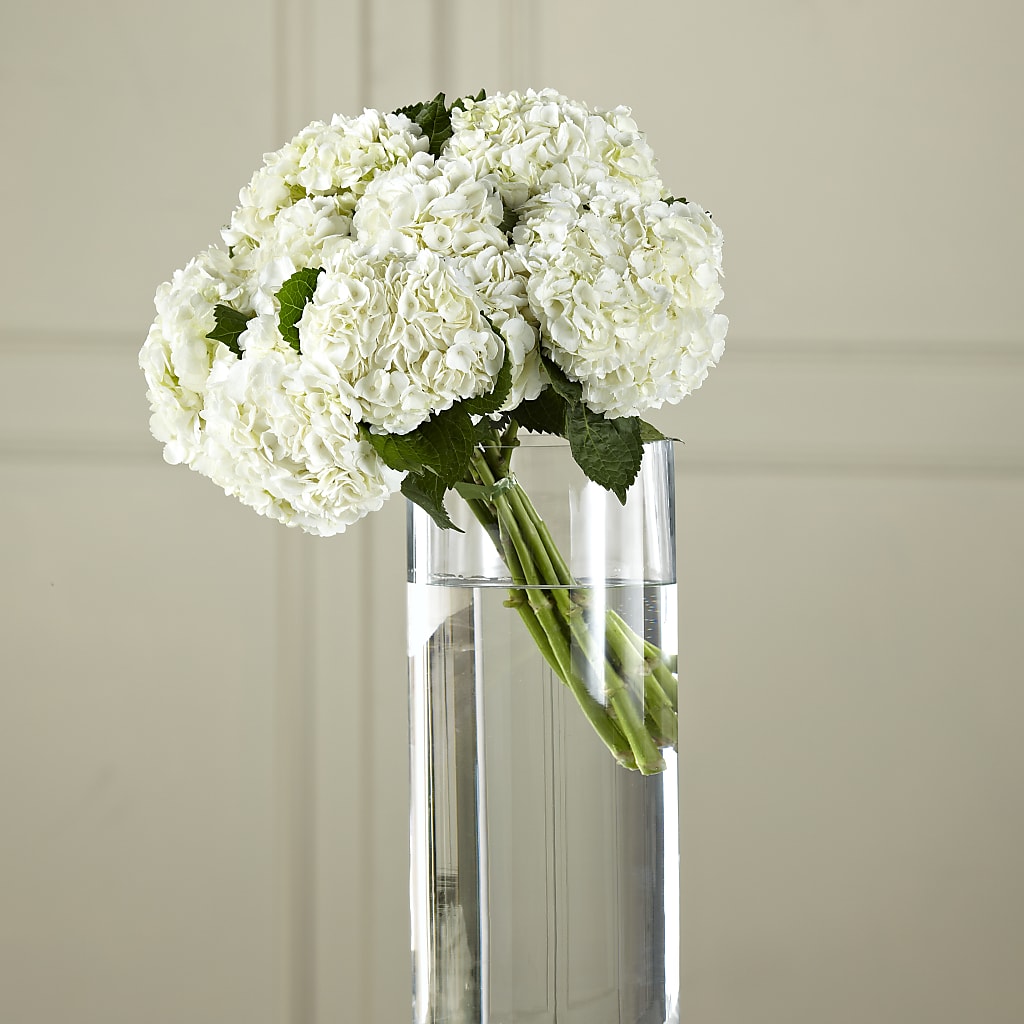 White Hydrangea Hand-Tied Bouquet – Facet Flowers, Austin TX