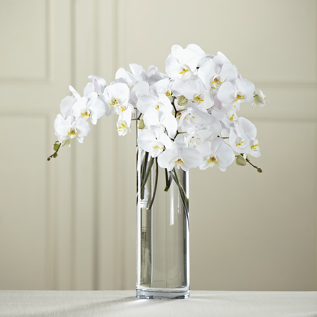 White Phalaenopsis Bouquet – Facet Flowers, Austin TX