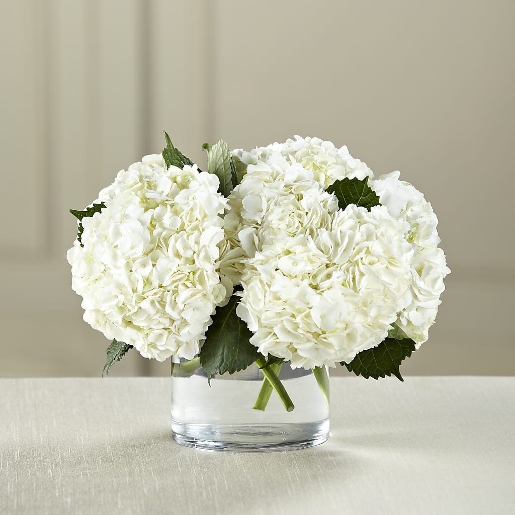 White Hydrangea Bouquet – Facet Flowers, Austin TX