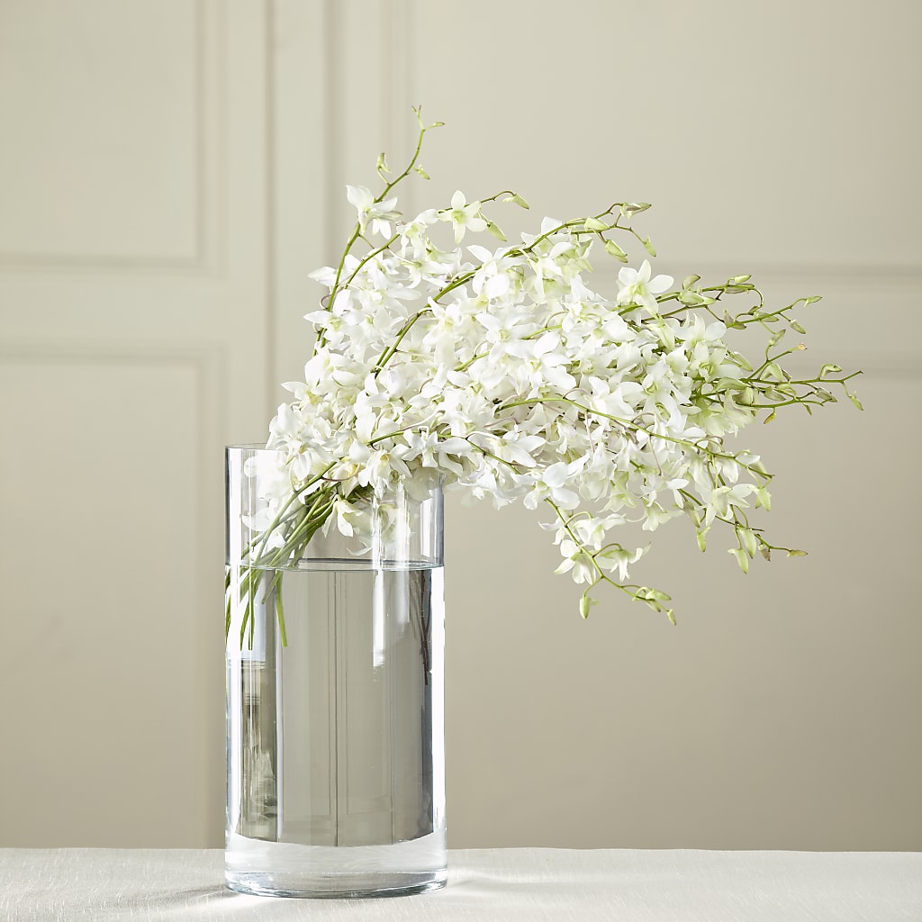 White Dendrobium Bouquet – Facet Flowers, Austin TX