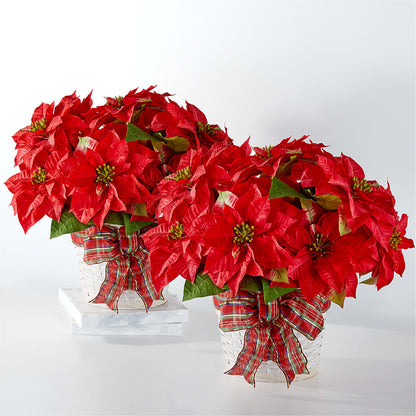 Happiest Holidays Poinsettia Bundle –  Facet Flowers, Austin TX