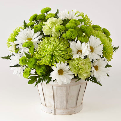 Lucky Charm Basket (Standard) –  Facet Flowers, Austin TX