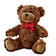 Adorable Plush Bear –  Facet Flowers, Austin TX