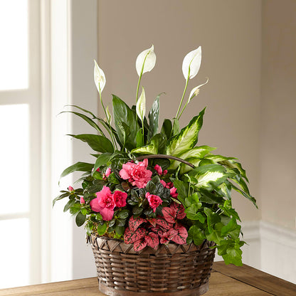 Dream in Pink Dishgarden –  Facet Flowers, Austin TX