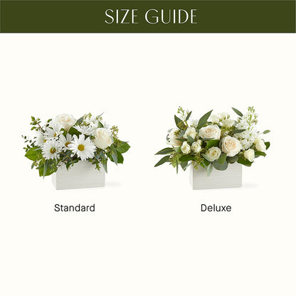 Fresh Linen Box Bouquet –  Facet Flowers, Austin TX