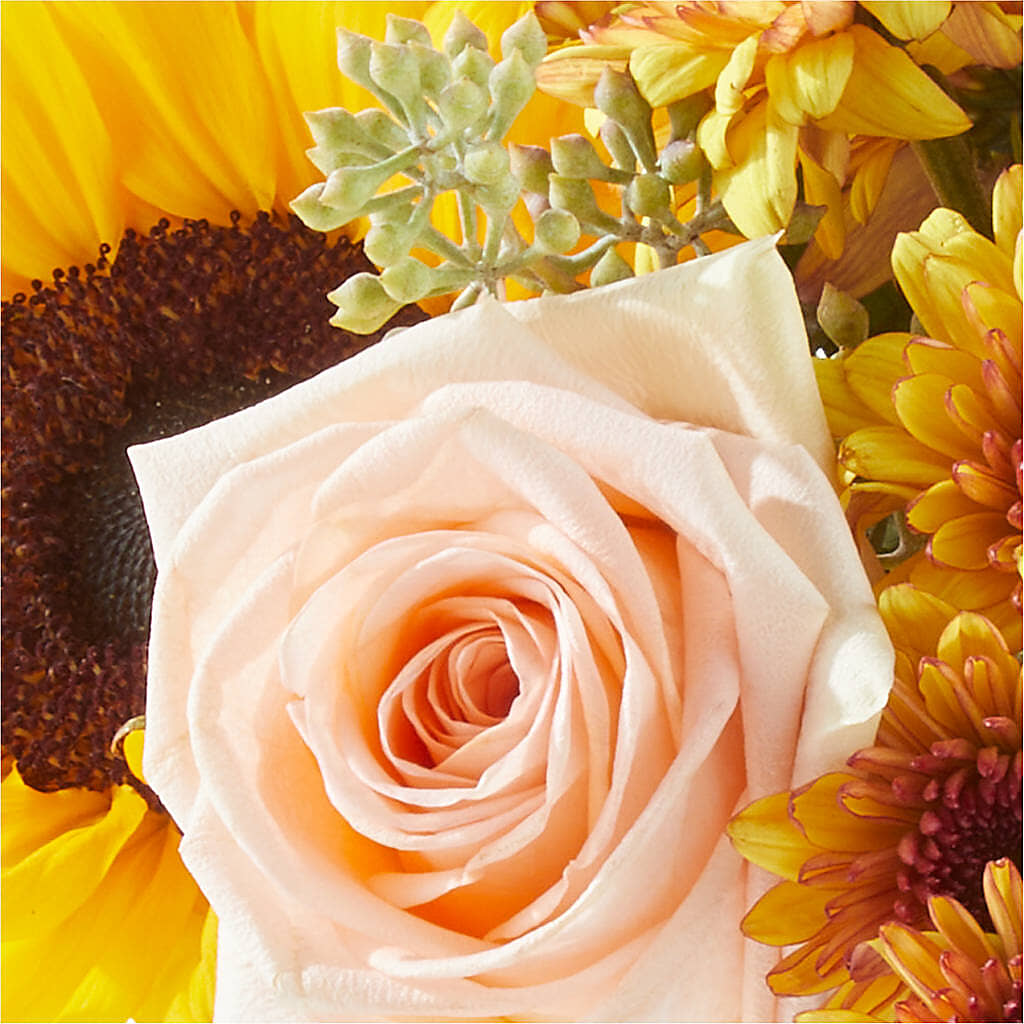 Pumpkin to Talk About Bouquet –  Facet Flowers, Austin TX