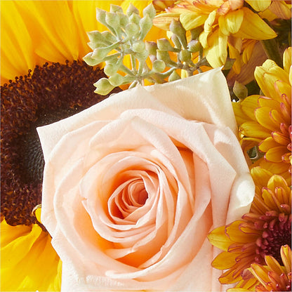 Pumpkin to Talk About Bouquet –  Facet Flowers, Austin TX