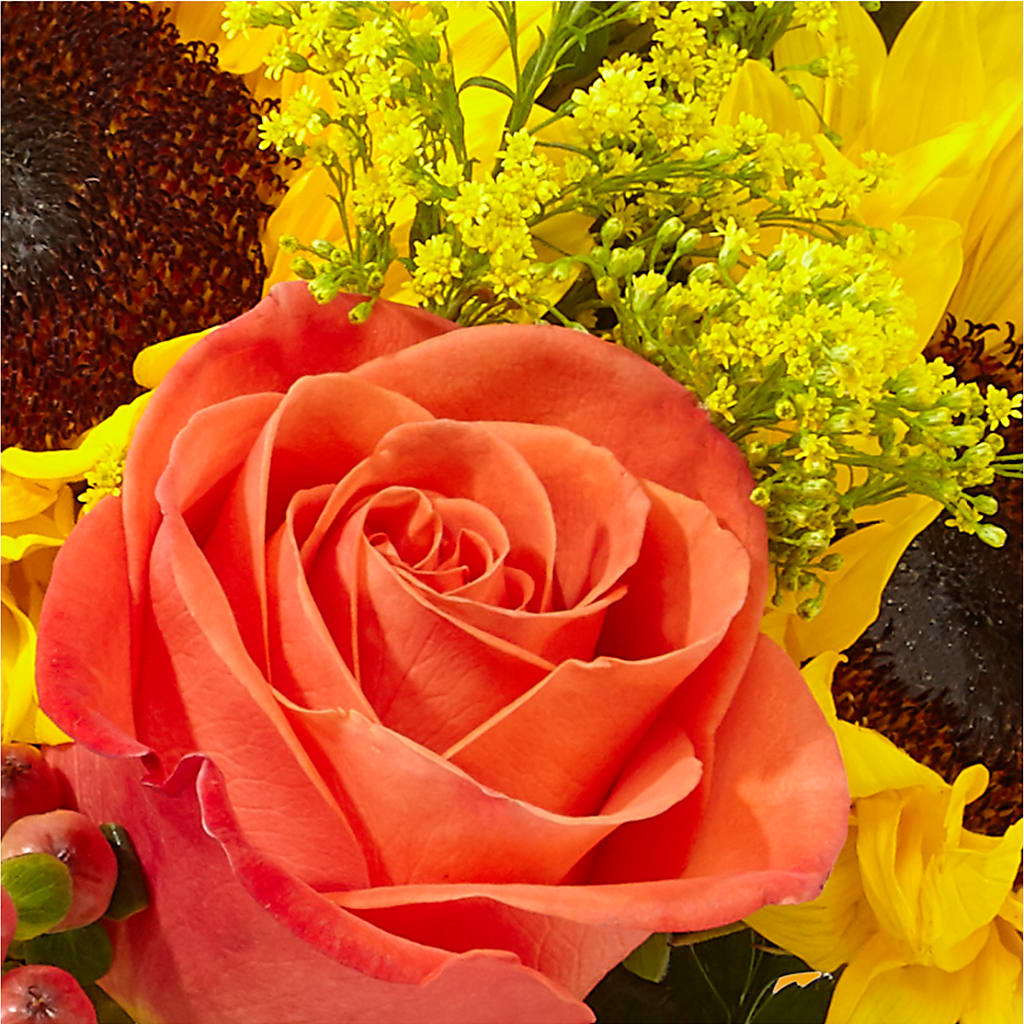 Pick of the Patch Pumpkin Bouquet –  Facet Flowers, Austin TX