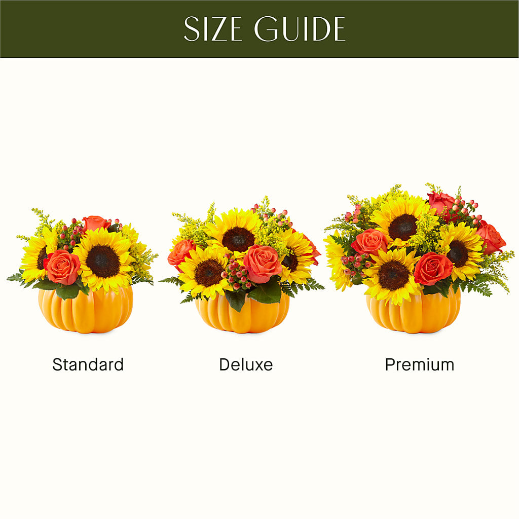 Pick of the Patch Pumpkin Bouquet –  Facet Flowers, Austin TX