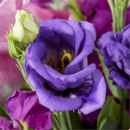 Twilight Glow Bouquet –  Facet Flowers, Austin TX
