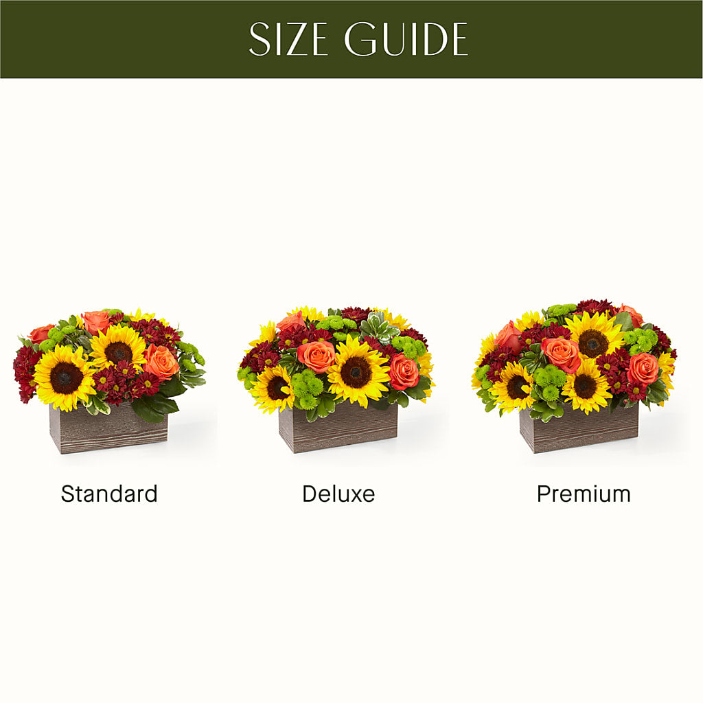 Happy Harvest Garden –  Facet Flowers, Austin TX