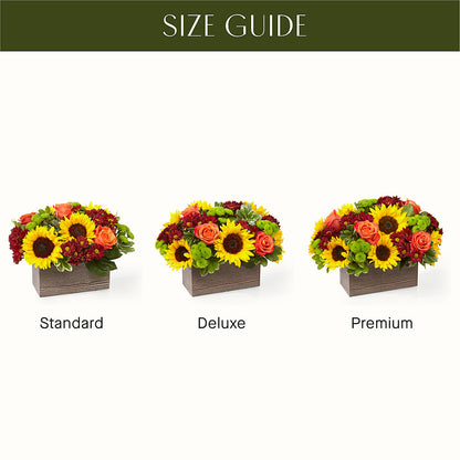 Happy Harvest Garden –  Facet Flowers, Austin TX