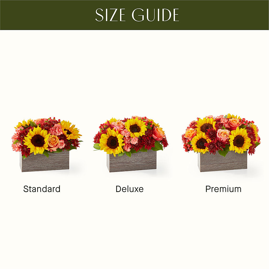 Fresh Cider Bouquet –  Facet Flowers, Austin TX