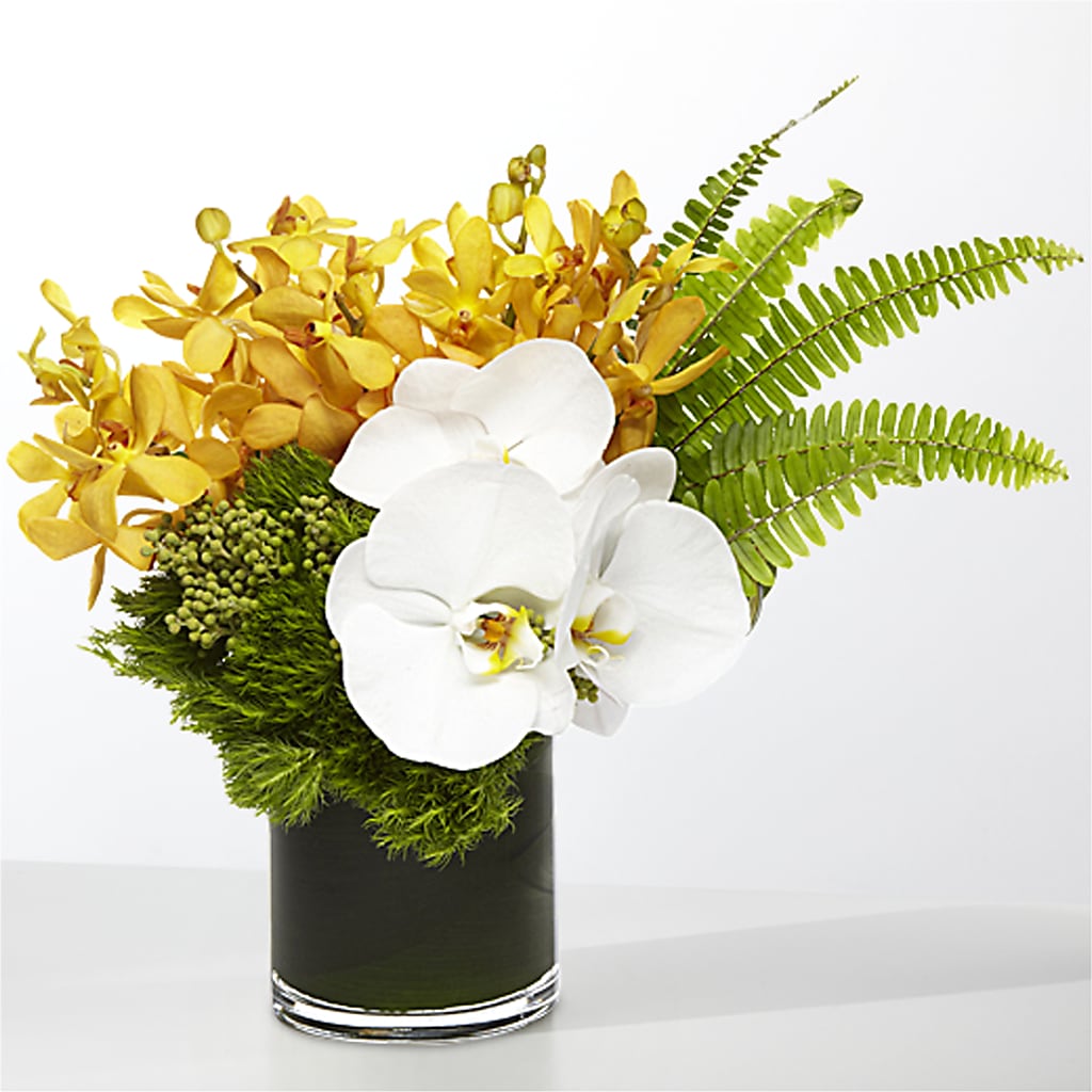 The Tropics –  Facet Flowers, Austin TX