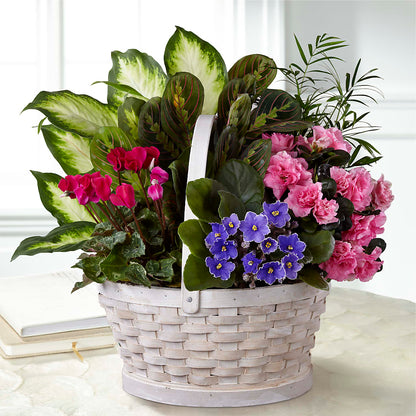 Peaceful Garden Planter –  Facet Flowers, Austin TX