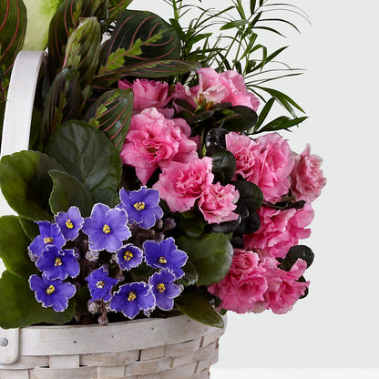 Peaceful Garden Planter –  Facet Flowers, Austin TX