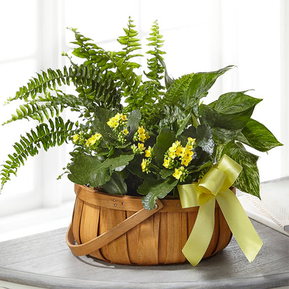 Always Dear Dishgarden –  Facet Flowers, Austin TX