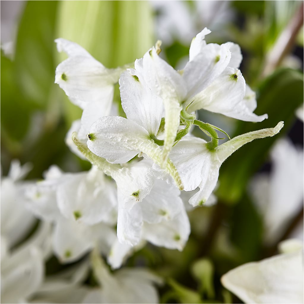 Classic Ivory – A Florist Original –  Facet Flowers, Austin TX
