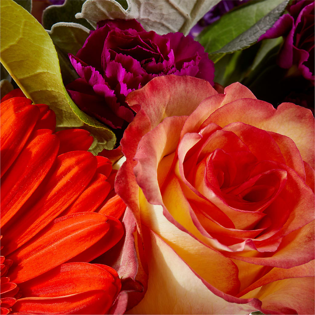 Sangria Bouquet –  Facet Flowers, Austin TX