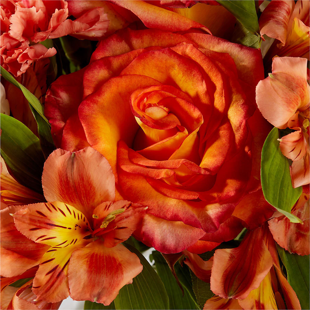 Apricot Glow Bouquet –  Facet Flowers, Austin TX
