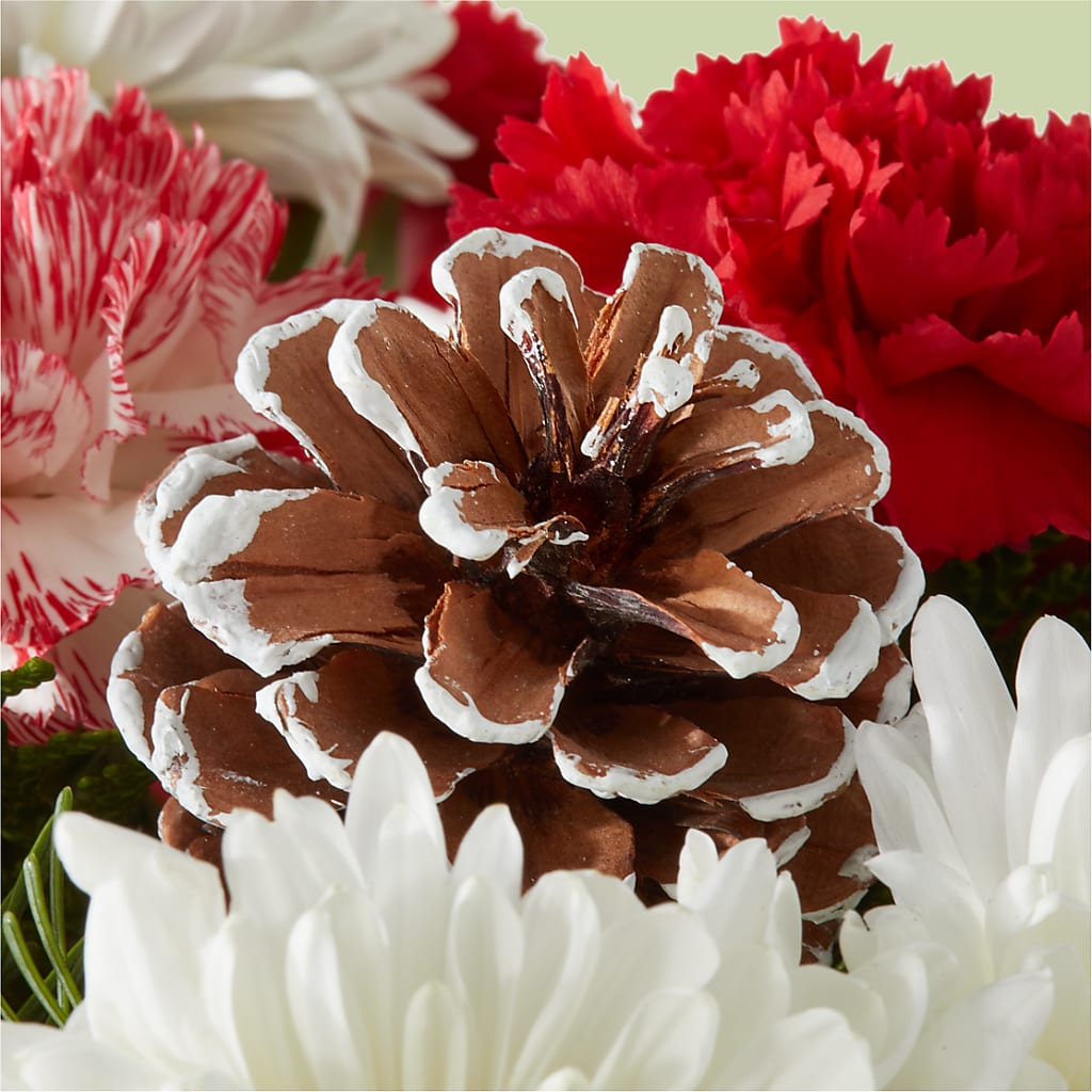 Candy Cane Lane Bouquet –  Facet Flowers, Austin TX