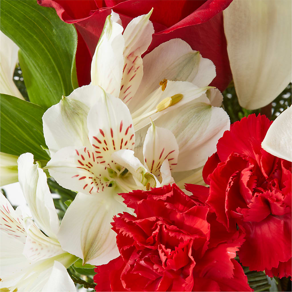 Holiday Season Bouquet –  Facet Flowers, Austin TX