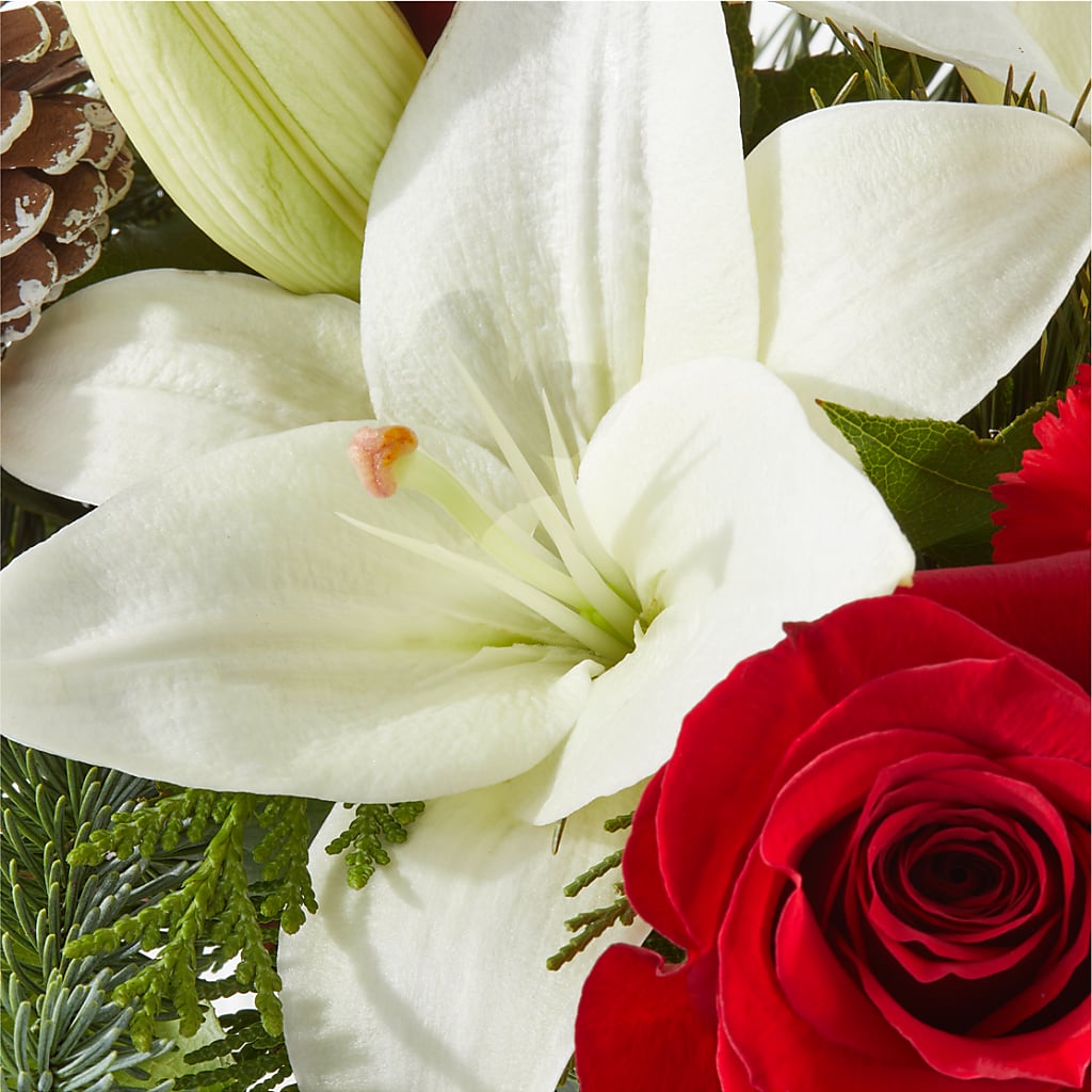 Oh So Jolly Bouquet –  Facet Flowers, Austin TX