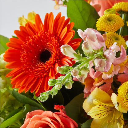 Autumn Sunshine Bouquet –  Facet Flowers, Austin TX