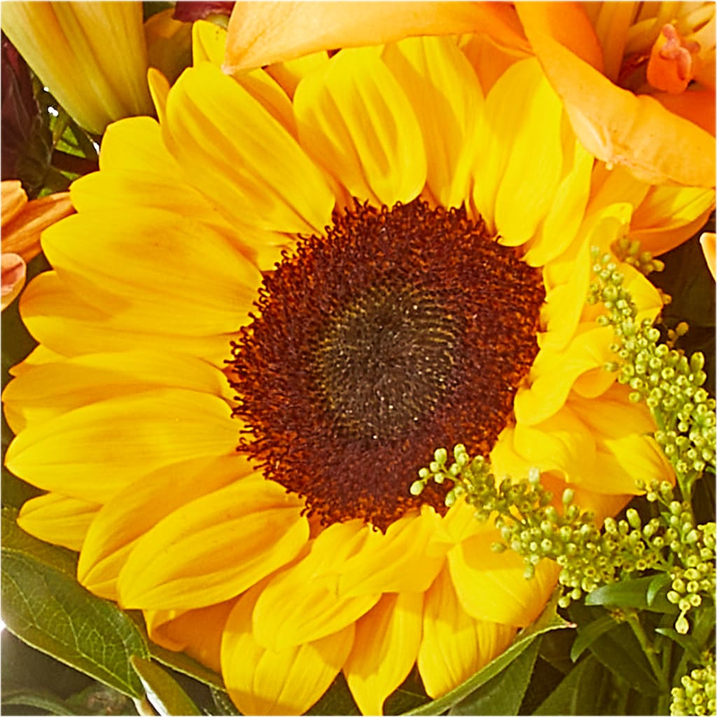 Seasons Change Bouquet –  Facet Flowers, Austin TX