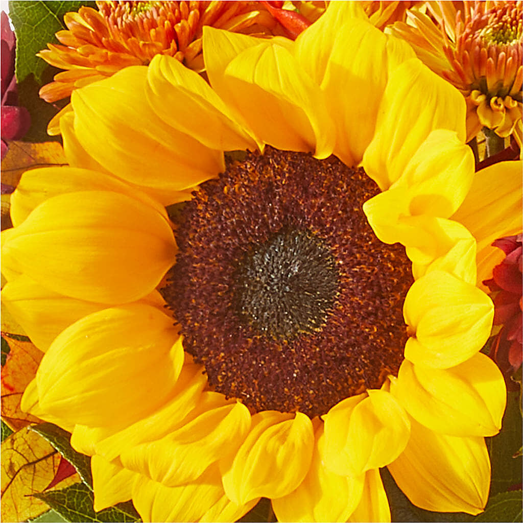 Sunny Side Bouquet –  Facet Flowers, Austin TX