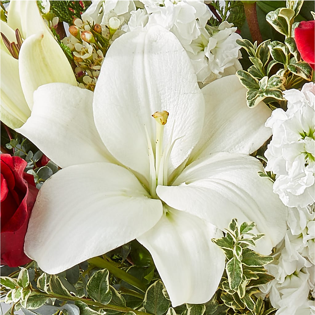 Twinkle Lights Bouquet –  Facet Flowers, Austin TX