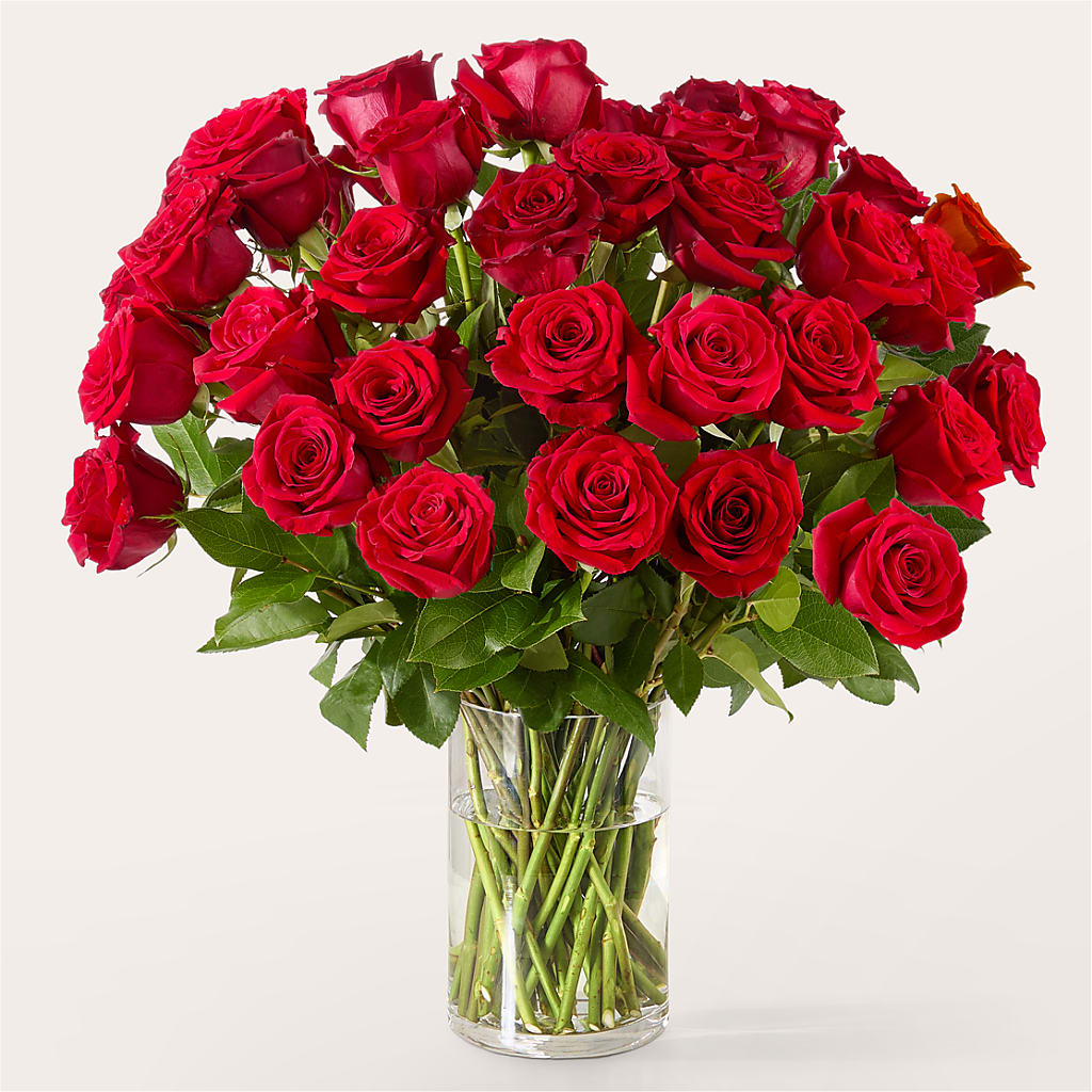 The One Red Rose Bouquet –  Facet Flowers, Austin TX