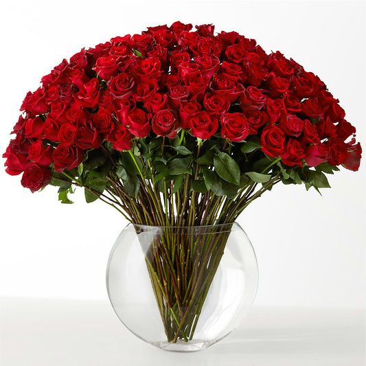 The Idealist –  Facet Flowers, Austin TX