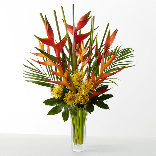 The Drama –  Facet Flowers, Austin TX