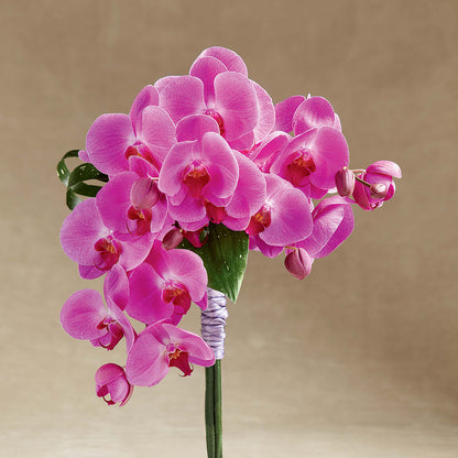 Glorious Bouquet –  Facet Flowers, Austin TX