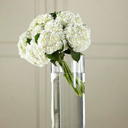 White Hydrangea Hand-Tied Bouquet –  Facet Flowers, Austin TX