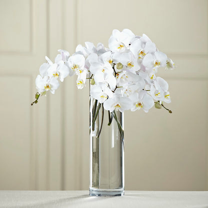 White Phalaenopsis Bouquet –  Facet Flowers, Austin TX